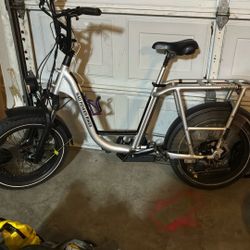 Radrunner Plus 1 E-bike