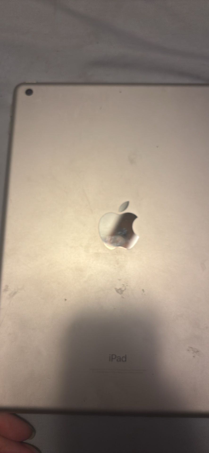 iPad
