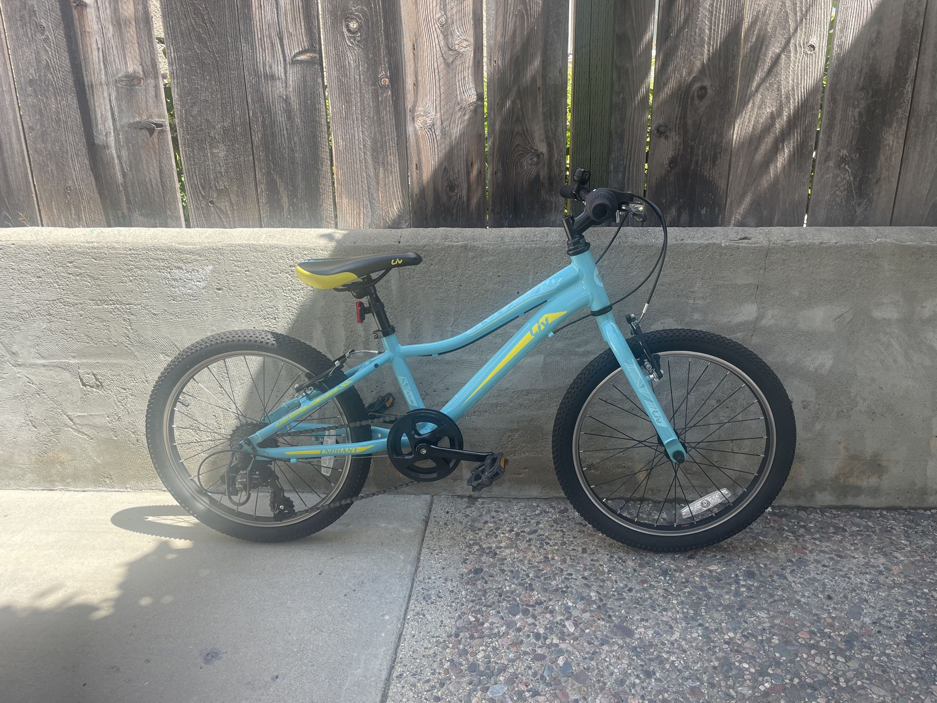 Giant Liv Enchant 20" Wheels / 7 Speed Kids Mountain Bike