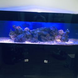125 gallon acrylic outlet aquarium