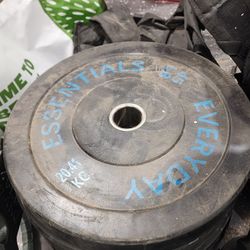 45 Lbs Olympic Bumper Plates