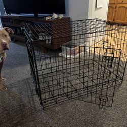 Large Dog Kennel