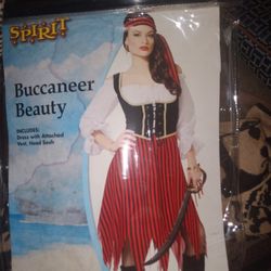 L Womans Pirate Dress