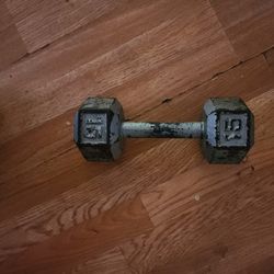 15 Lb Weight