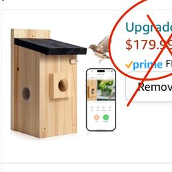 New! Smart Bird House with Camera Solar Powered, AI Identify Bird Behavior & Create Bird Story, Watch Bird Nesting & Hatching in Real Time, Eco-Friend