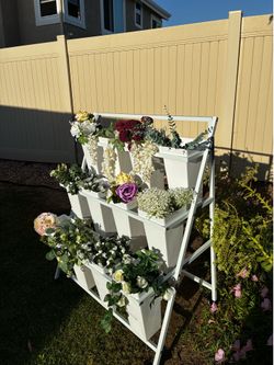 Bloom bar