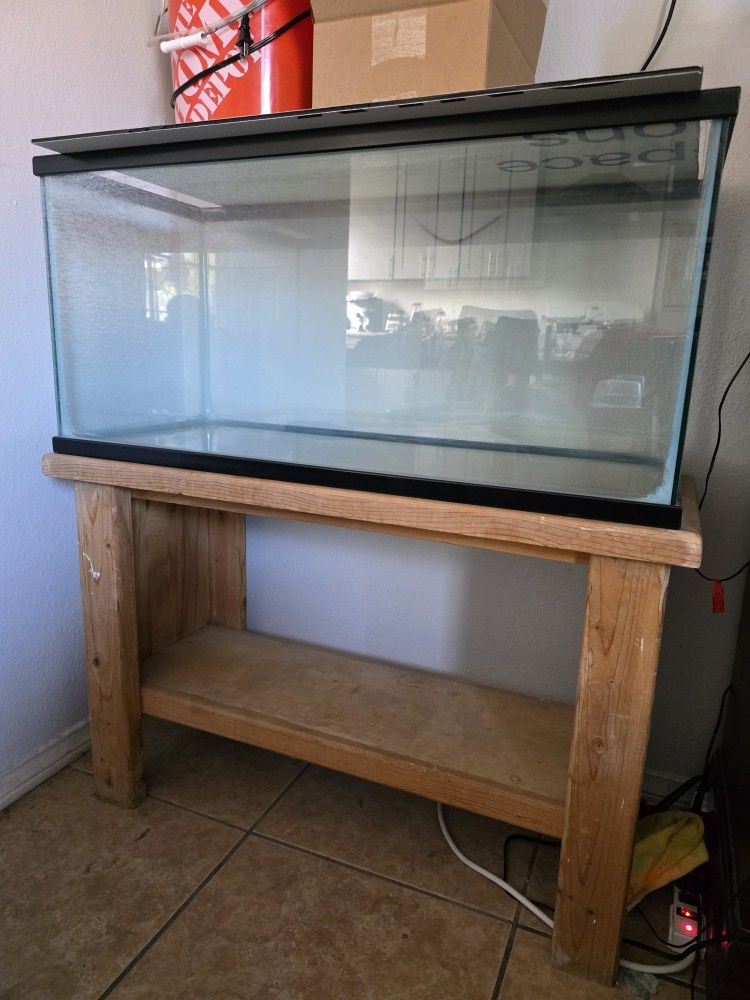 Fish Tank Aquarium 
