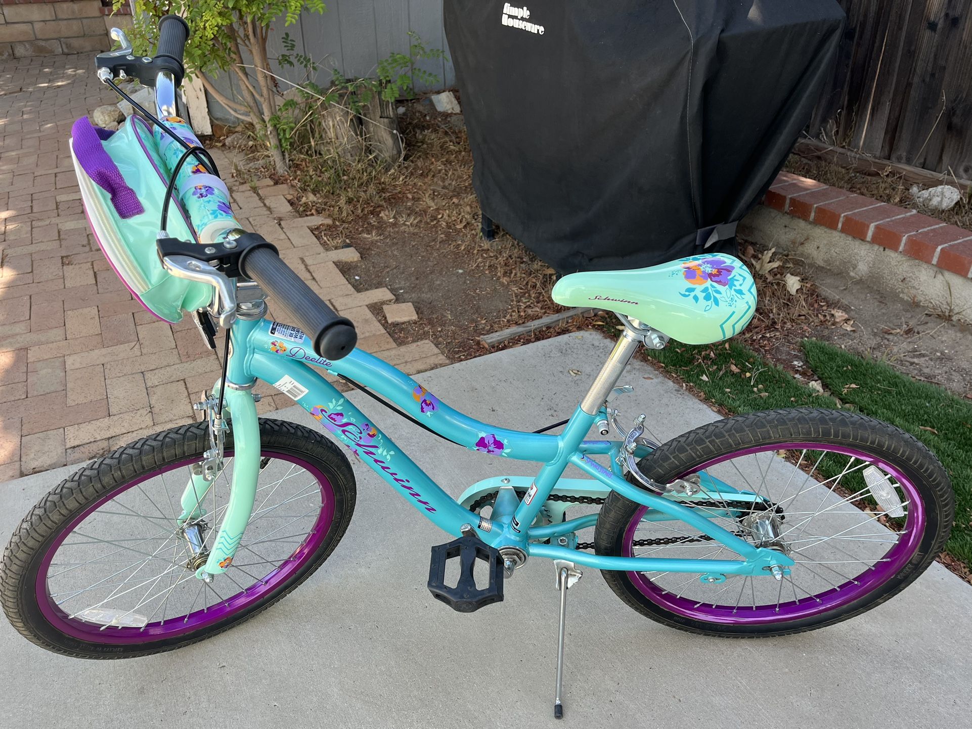 Bicycle 20”