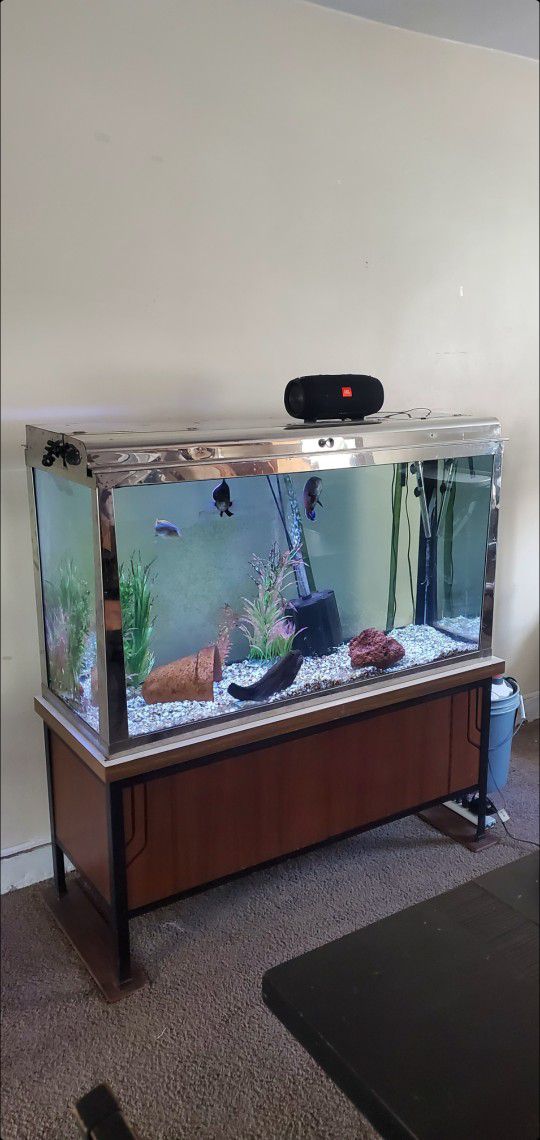 Vintage Fish Tank 