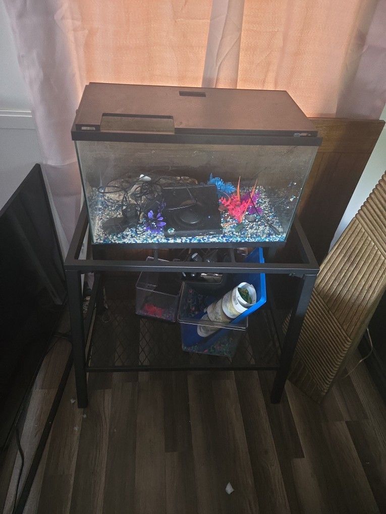 Fish Tank