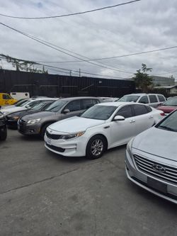 Public auto auction