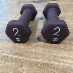 2 Pound Dumbbells x2