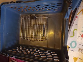 Dog kennel