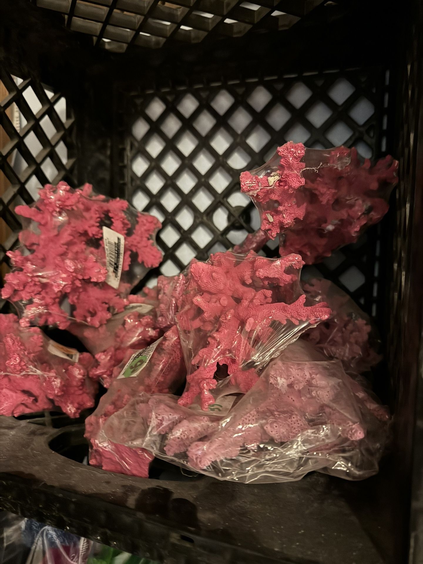3 To 5 Inch Coral Pink Real Coral $20 Each