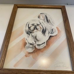 Vintage artist signed print of Shih Tzu 1988. Wood & glass frame. Cottage/ modern/ farmhouse.