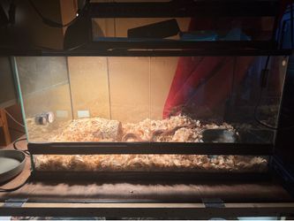Reptile enclosure