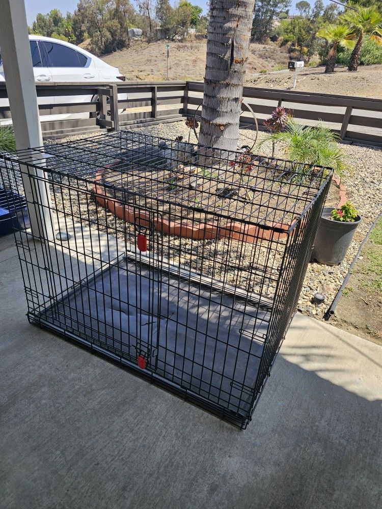 Kong Dog Crate XL