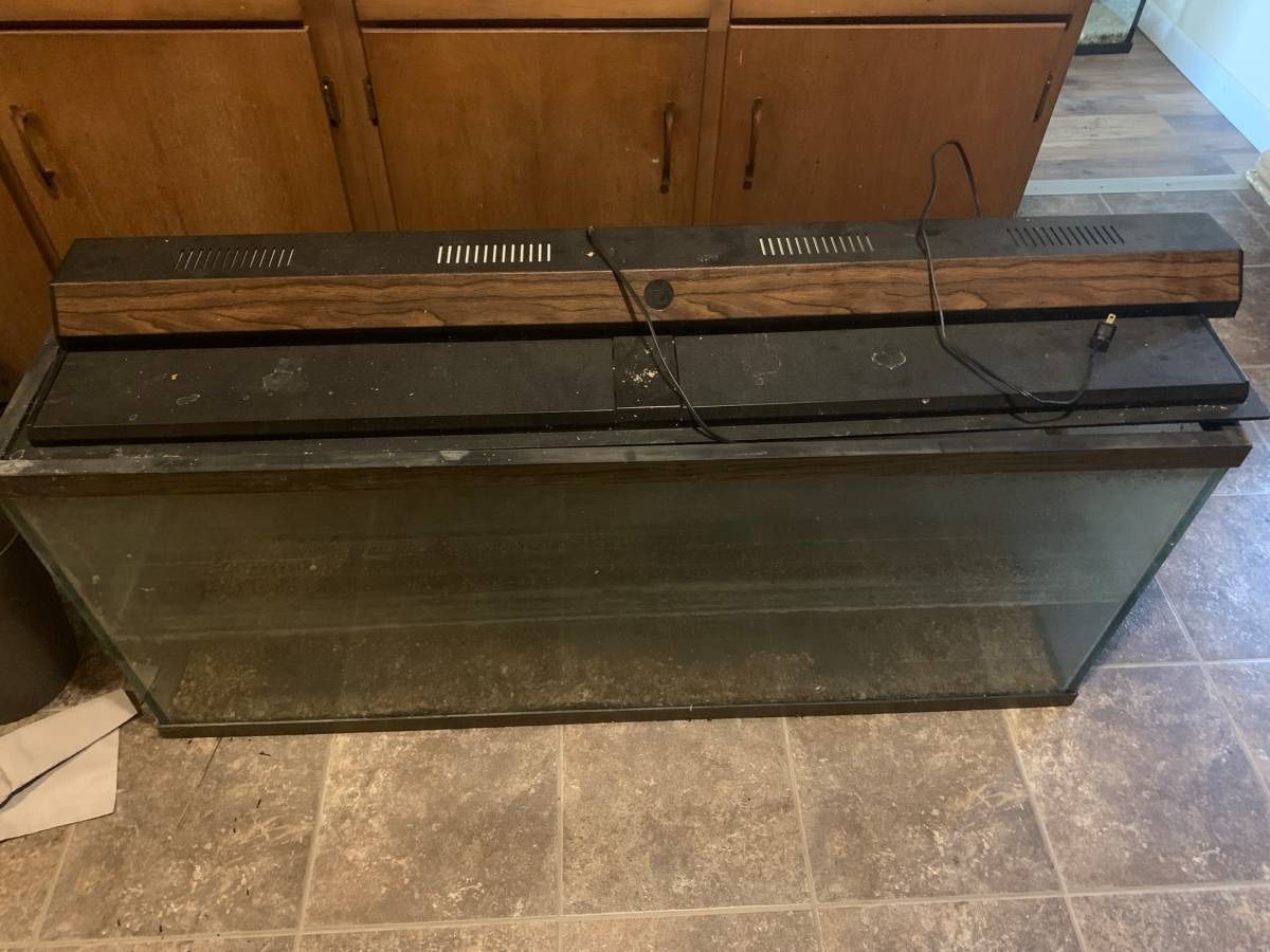 55 Gallon Fish Tank With Stand
