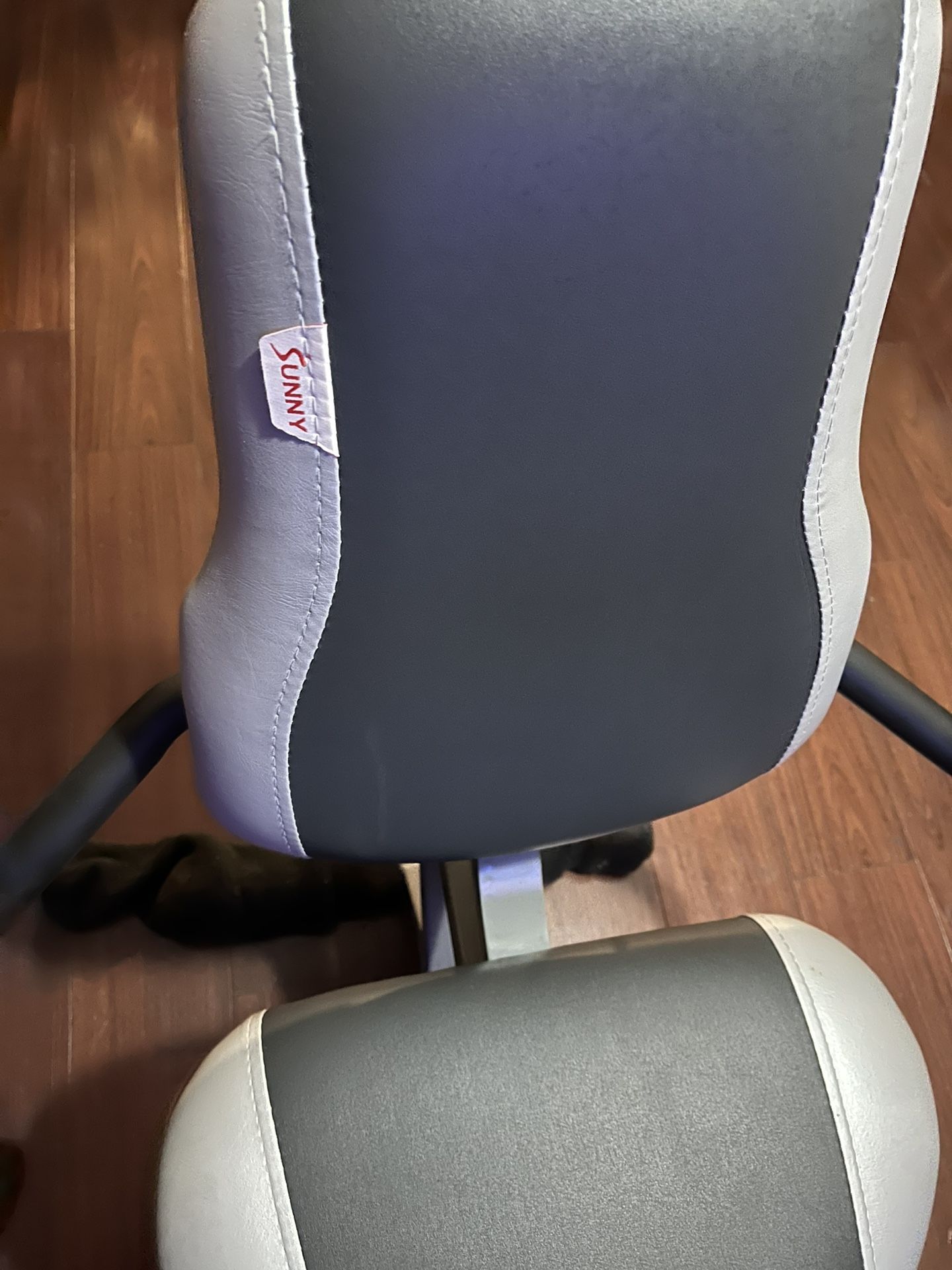 Recumbent Bike