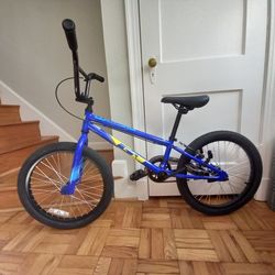 Kids BMX Bike