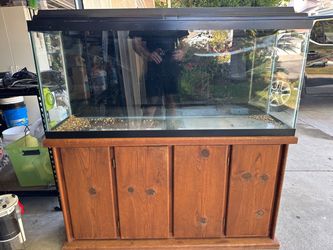 55 gal aquarium