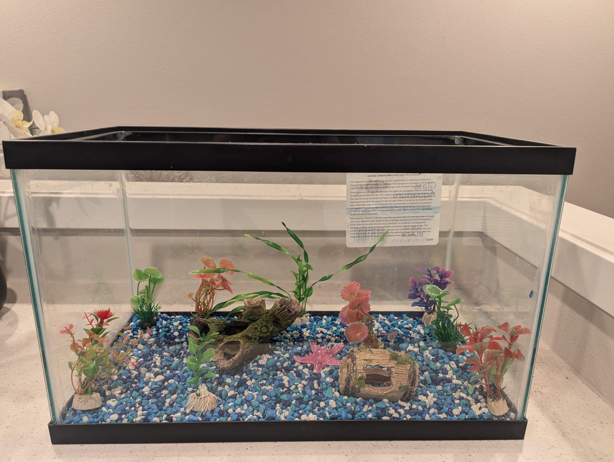 Fish Tank / Aquarium with Complete Set Up