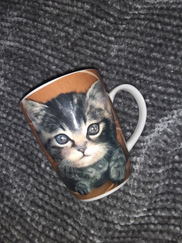 Kitten Mug