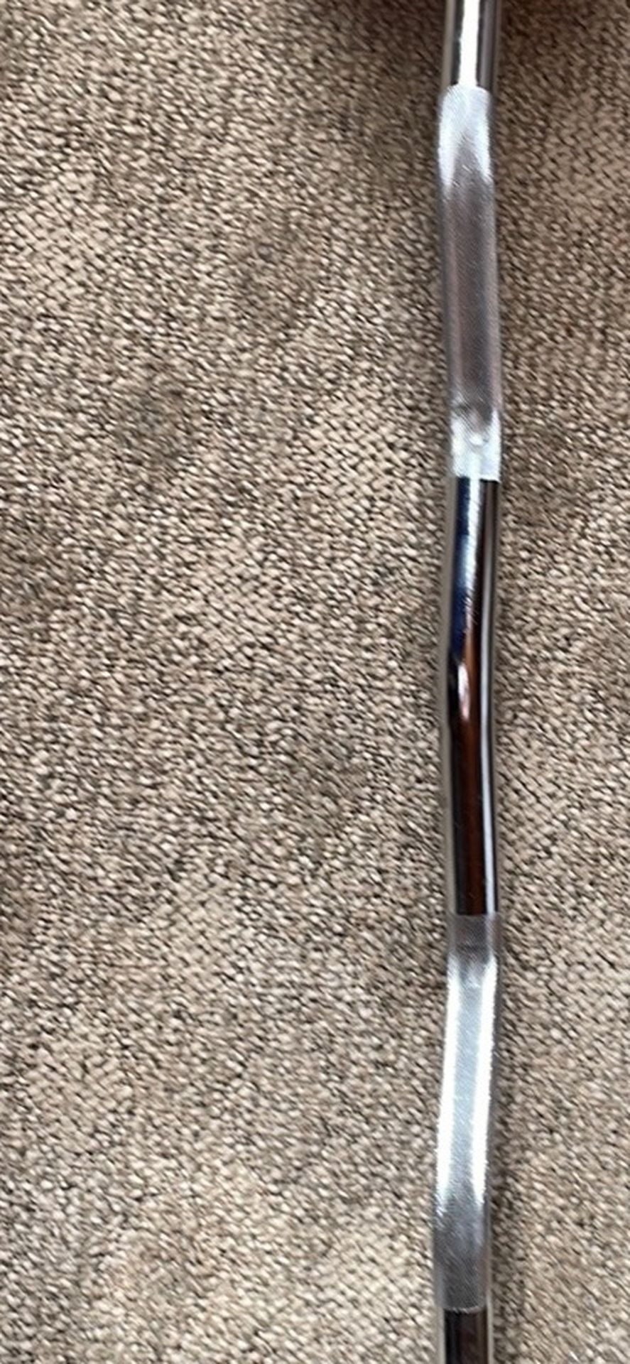 NEW 100lb Curl bar Synergee