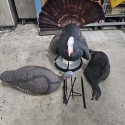Turkey hunting bundle.