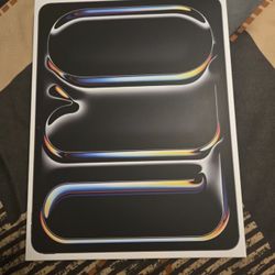 iPad Pro 13inch WiFi/cell M5 Factory Unlocked 