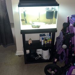 Fish Tank With Table & Fishes Included