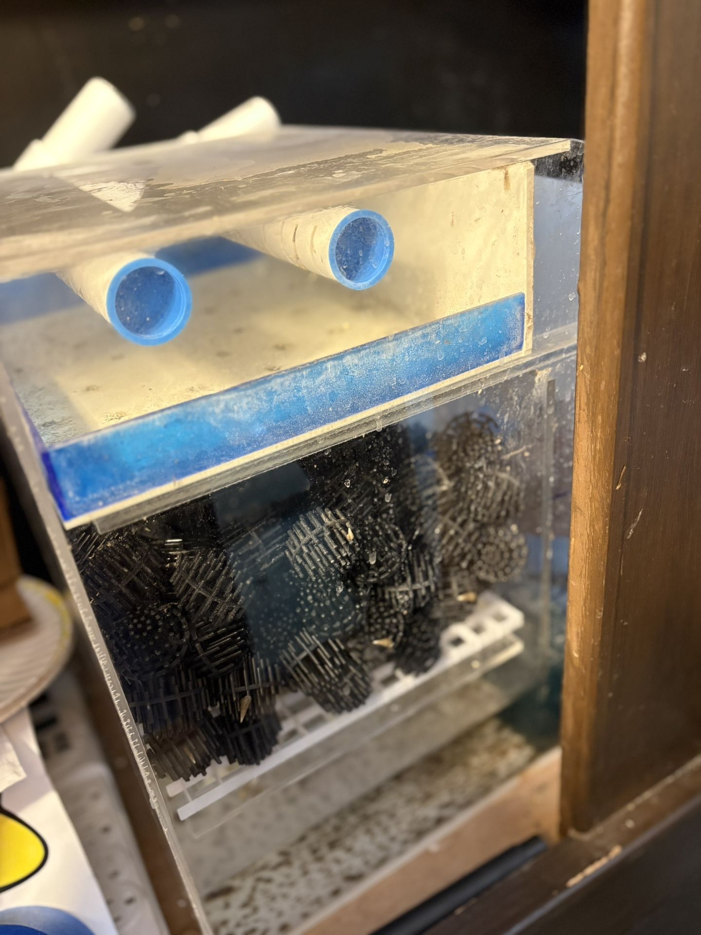 Aquarium Sump Filter