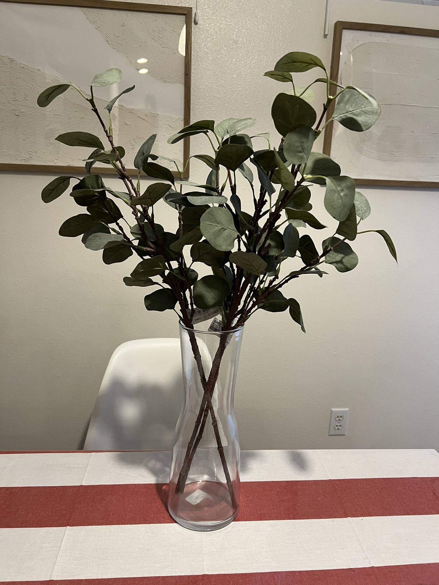 Eucalyptus Stems