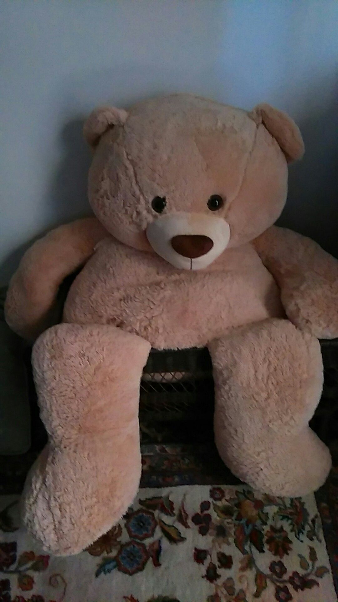 Giant Teddy Bear