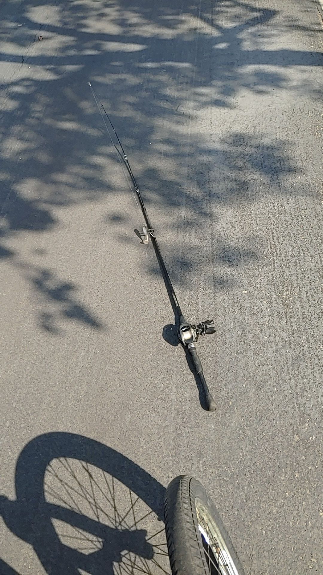 Fishing rod and reel