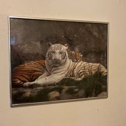 Framed Tiger Print