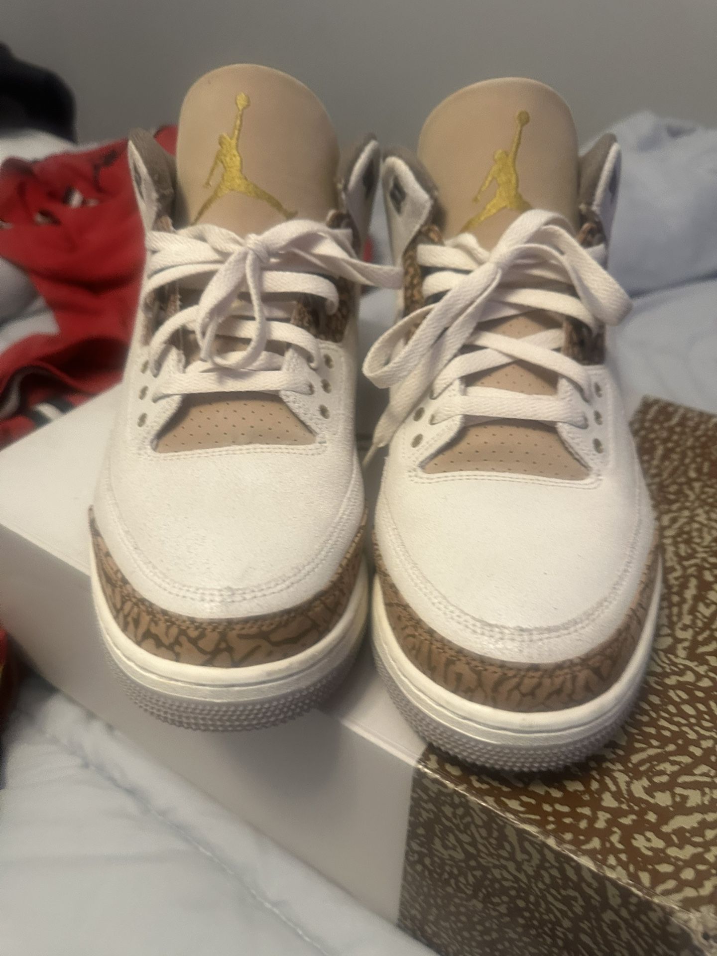 Jordan 3 Palo Sz 13