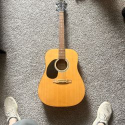 Left Handed Guitar