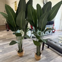 Pretty Artificial Plant 6 FT Tall Set Of 2 With  Eoven Sea Grass  Belly Basket ! Brand New