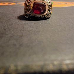 Sterling Silver VIETNAM veterans Ring