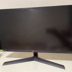 LG Monitor