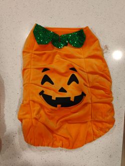 Pumpkin dog costume