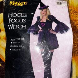 Sexy Hocus Pocus Costume 