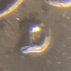 RPM!! 1961-D Lincoln Memorial Cent - Repunched Mint Mark