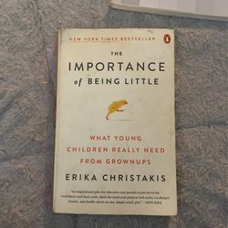 The Importance Of Being Little Book