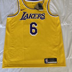 Nike Lebron James Lakers Swingman Jersey Size 48 Large 