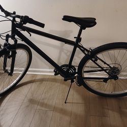 29" Wheel Set 