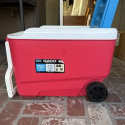 38 Qt. Igloo $20 OBO