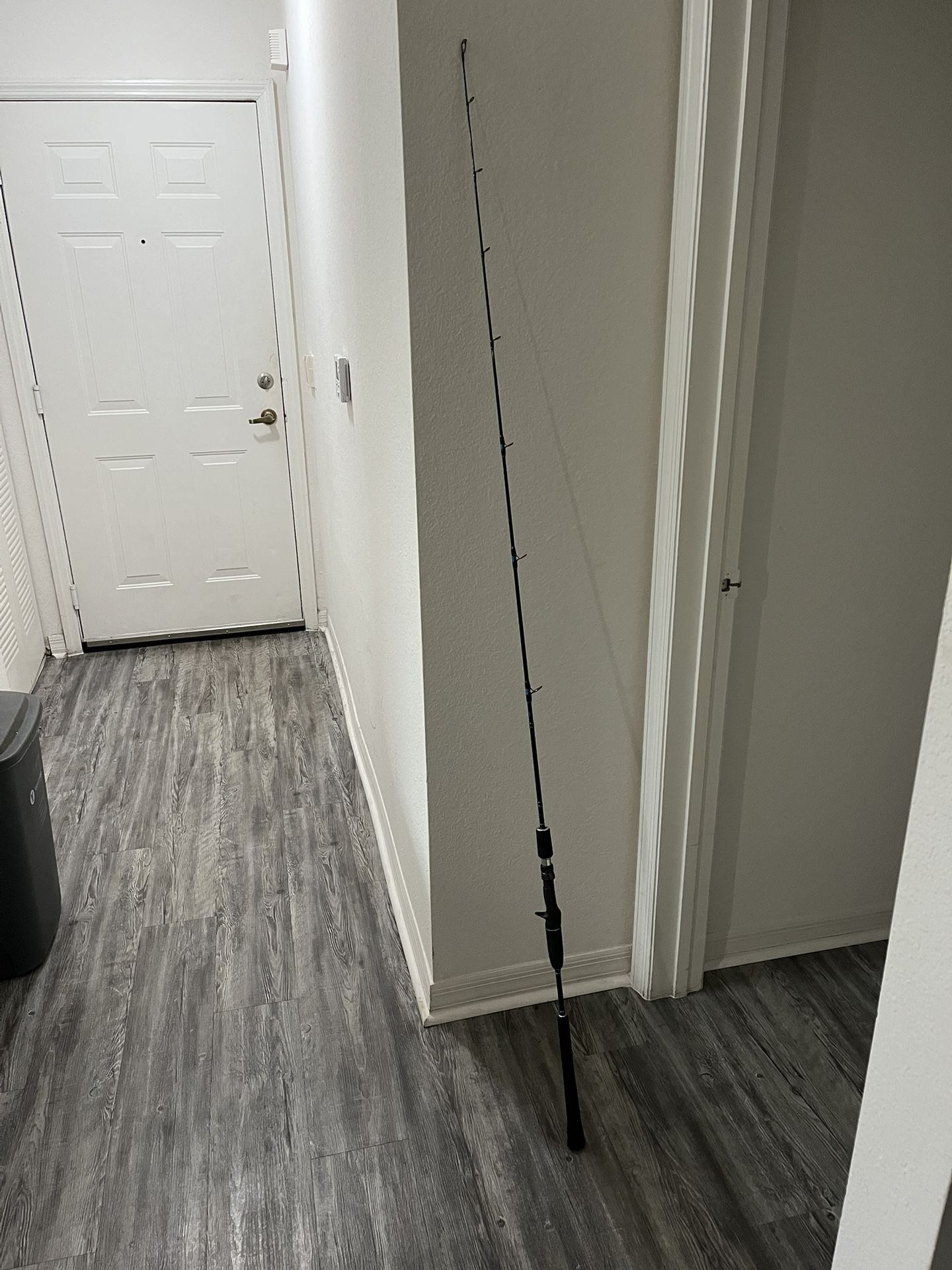 Shimano Talavera Casting Rod