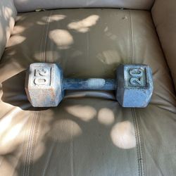 20 Pound Weight 